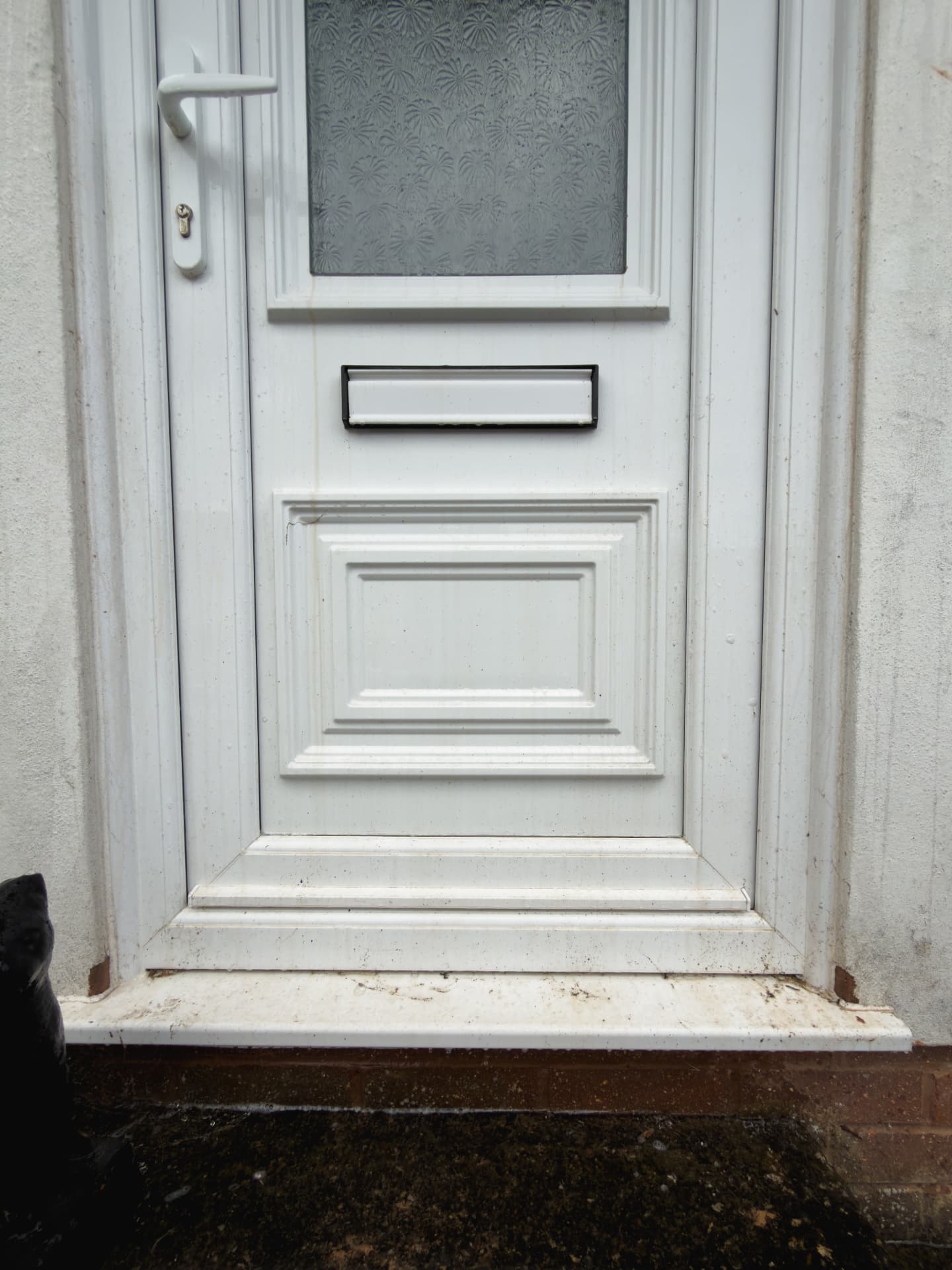 Front door before exterior cleaning by OutWash